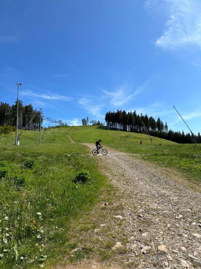 Apartman Pod Plesivcem Abertamy Buitenkant foto