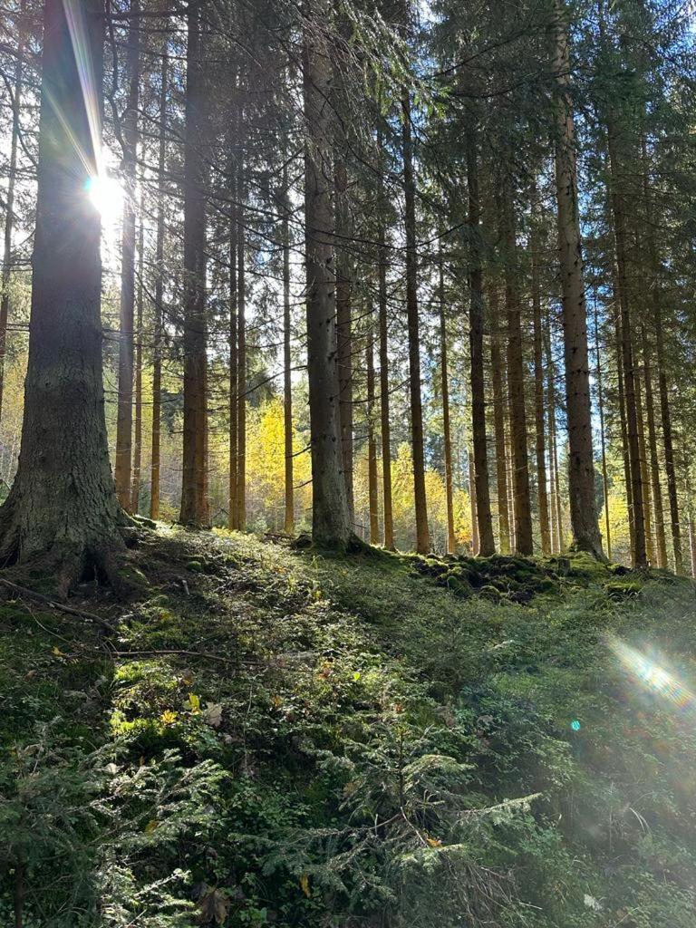 Apartman Pod Plesivcem Abertamy Buitenkant foto